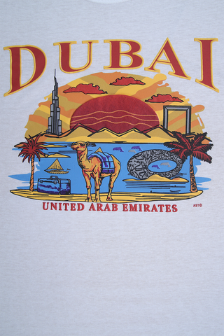 Unisex Dubai T-Shirt D# 257